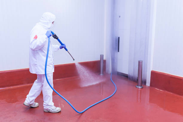 Best Roof Washing  in El Jon, CA