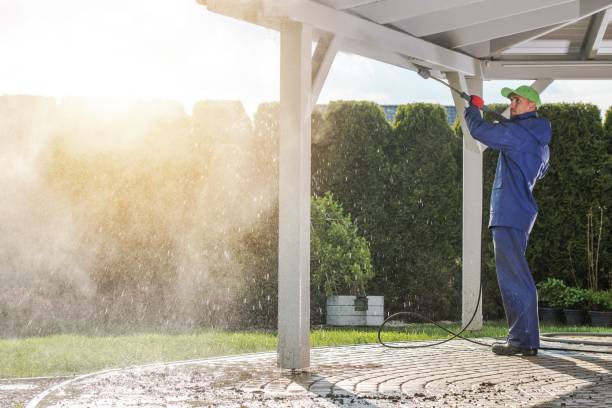 Best Driveway Pressure Washing  in El Jon, CA