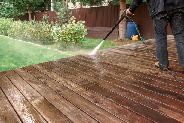 Best Sidewalk and Walkway Cleaning  in El Jon, CA