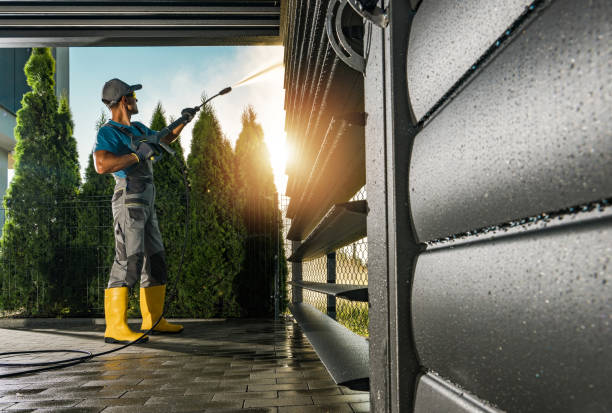 Best Gutter Cleaning  in El Jon, CA